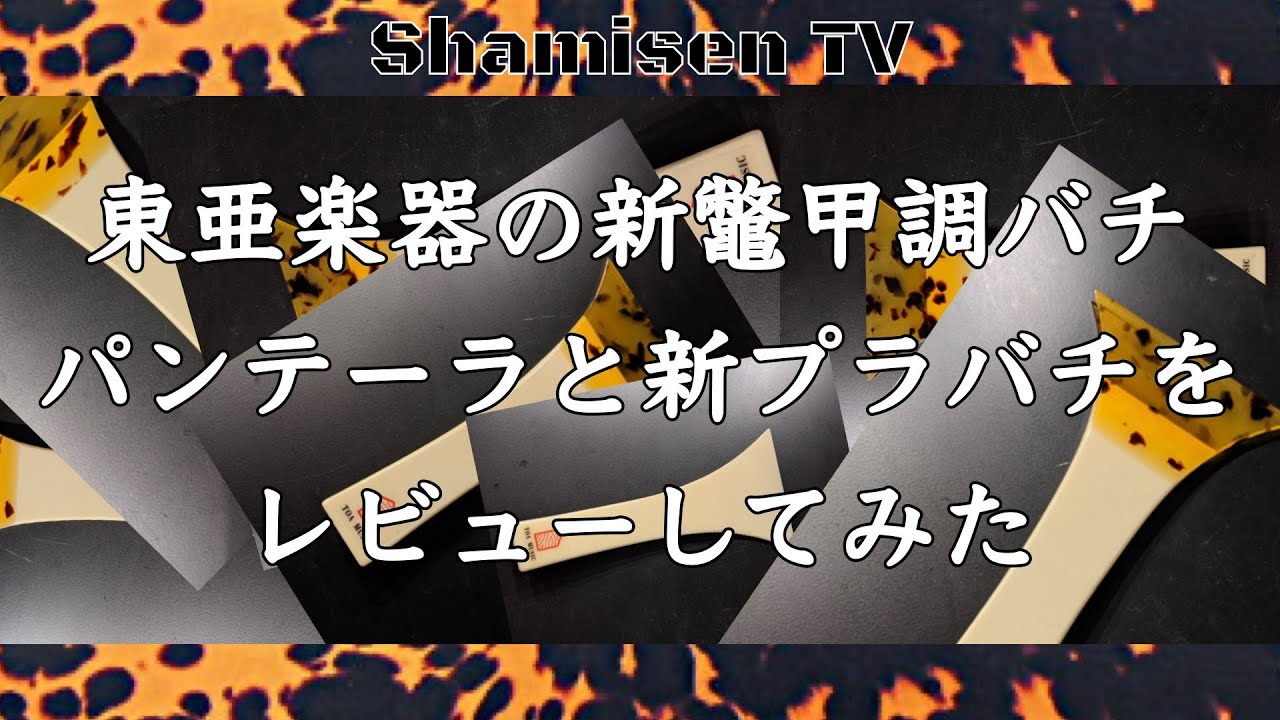 A review of Toa Gakki's new tortoiseshell drumsticks 