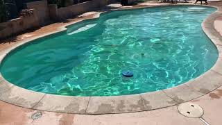 Yoshi goes for a swim