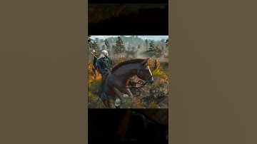 FUNNY BUG IN THE WITCHER 3 WILD HUNT | ROACH MASTURBATES A STUMP