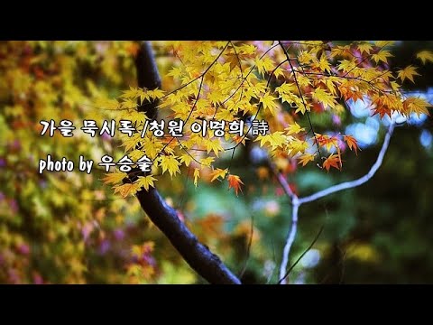 가을 묵시록 / 청원 <strong>이명희</strong> &amp;amp; photo by 우승술