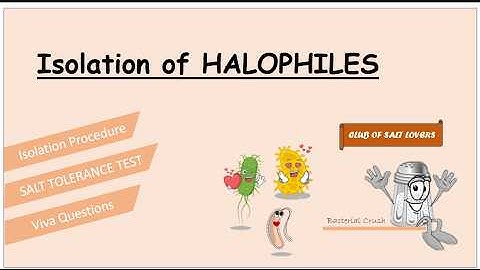 Isolation of Halophiles and Salt tolerance test with viva questions