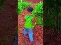 unique way to process peanut harvest #shorts