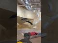 SUPER LONG SWING🦧 #climbing #bouldering #ボルダリング #クライミング #parkour #swing