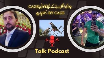 All java sparrow price 2025 | fawn jawa opal java white java silver java price