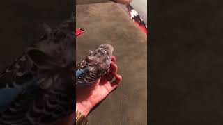 Birazdan Sohbet Edecek Gelde Muhabbet Etme