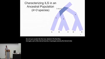 Automated clade-level detection of Incomplete lineage... - Maureen Stolzer - EvolCompGen - ISMB 2024
