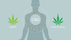 CV Sciences - Myths About CBD vs Marijuana