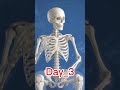 7 दिन सोशल मीडिया छोड़ा… और जिंदगी बदल गई! 😳 #shorts #youtubeshorts #socialmedia #healthtips