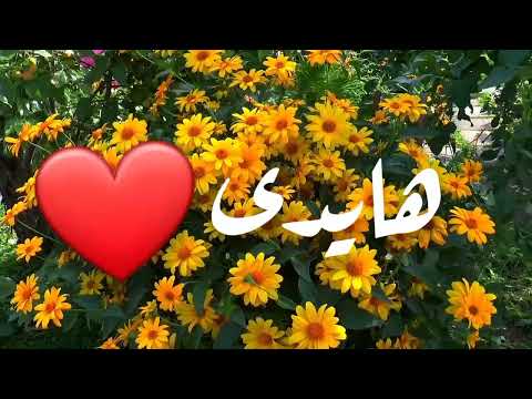 اغنية اسم هايدى هايدى