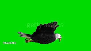 Green Screen Eagle