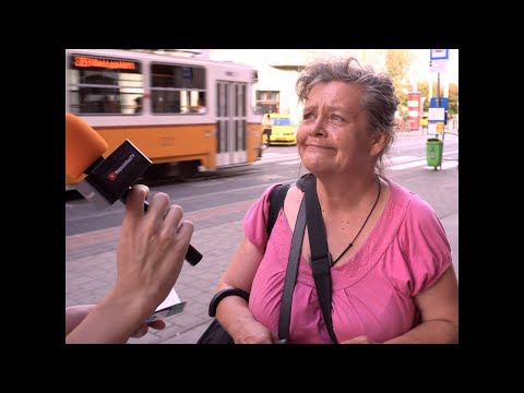 Megálló 4. –
