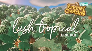Lush Tropical Dream Island Tour With Insane Views Animal Crossing New Horizons