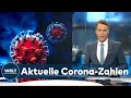 AKTUELLE CORONA SCHOCKZAHLEN 7 Tage Inzidenz Bei 201 1 Höchster Wert Seit Beginn Der Pandemie