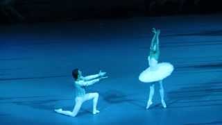 Maria Allash / Ruslan Skvortsov - Swan Lake