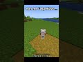 non pensavo che i cani facessero così... (finale inaspettato😳😱) #minecraft #shorts