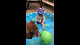 The cutest moments of babies with animals 2020  (a video that will melt your heart))