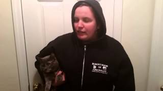 Exploding #KittenConsul submission