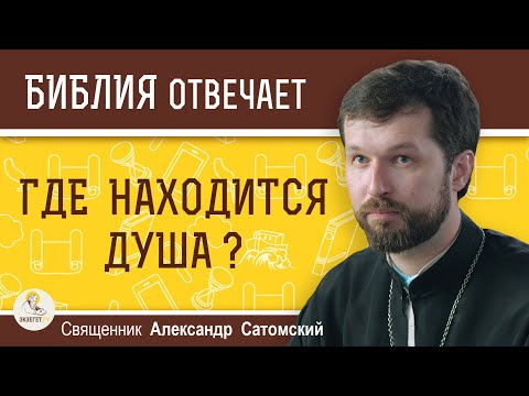 Где у человека находится  ДУША ?  Священник Александр Сатомский