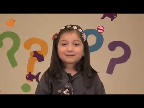 \"ენკი-ბენკი\"- \"შეკითხვების აბდაუბდა\" - ელენე გასიშვილი