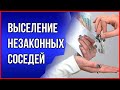 Как бороться с шумными соседями живущими незаконно! Консультация юриста