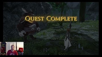 FFXIV "Bolt, Chain, and Island" Story Quest, "Flying the Nest" "Sleepless in Ok