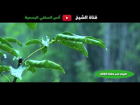 طوبى لمن حفظ الكتاب بصدره
