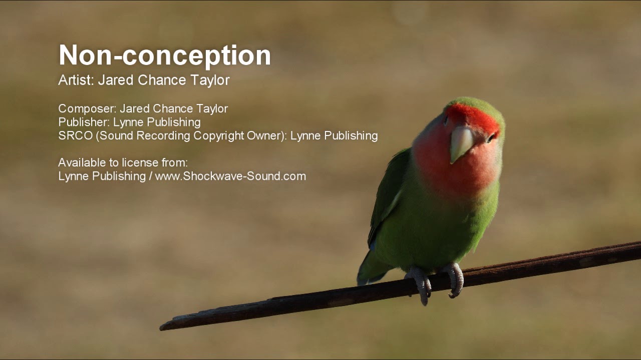 Watch Non conception - Jared Chance Taylor | Meditation | Background Royalty Free Music | Shockwave-Sound on YouTube Watch Non conception - Jared Chance Taylor | Meditation | Background Royalty Free Music | Shockwave-Sound on YouTube