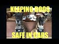 KEEPING DOGS SAFE IN CARS - Kurgo Car Safety Harness