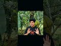 In this video, I’ll show you how to get the most out of PicsArt #shortsfeed