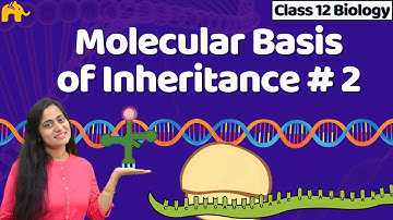 Molecular Basis of inheritance Class 12 | One Shot NCERT Chapter 5 Biology | CBSE NEET Bio
