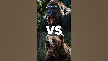 Beast Brawl: The Ultimate Apex Predator Showdown