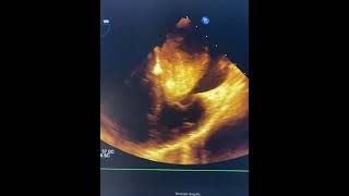 Victor Manuel Carmona Delgado-47