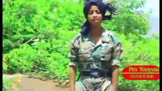 Senaa Kamal