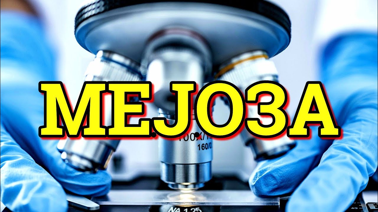 КАКО СЕ ДОБИВААТ ПОЛОВИ КЛЕТКИ, ГАМЕТИ? МЕЈОЗА (БИОЛОГИЈА IV)