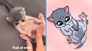 The CUTIEST Cat Videos of 2024!  BEST Compilation