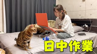 あにまるずと動物達のお掃除ルーティン