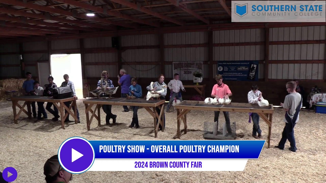 2024 Brown County Fair Poultry Show Part 2
