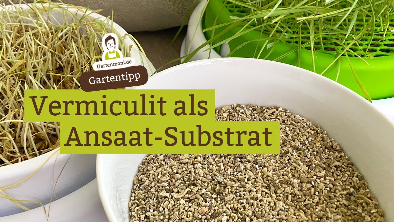 Vermiculit Granulat 3 Liter - Feines Mineral Für Pflanzen & Pilzzucht