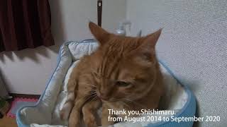 The Song For Shishimaru