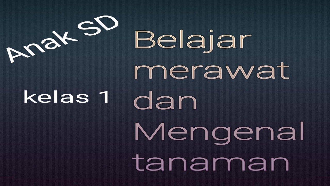 Belajar merawat dan mengenal tanaman, untuk anak SD kelas 1 . Mendidik anak menjaga lingkungan.