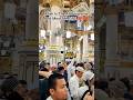 Sahib E Qudrat #shorts #youtubeshorts #viral #trending #motivation #islam #facts #video #love #quran