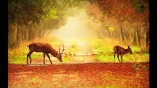 Nteeze & Andy-Lost & found(HOUSE AFRIKA)