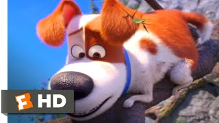 The Secret Life of Pets 2 - Max Saves Cotton | Fandango Family