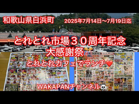 和歌山県白浜町　とれとれ市場３０周年記念大感謝祭🎊とれとれカフェでランチ❤️WAKAPANチャンネル🐼