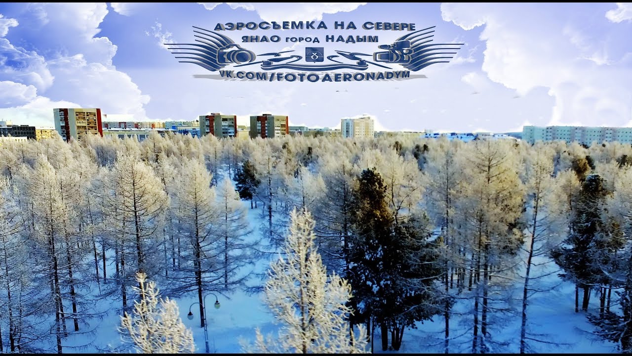 Гск волга надым