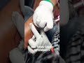 9092506571 Ane Tattoo Studio #chennai #ramapuram #srmuniversity