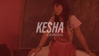 kesha - cannibal ( s l o w e d )