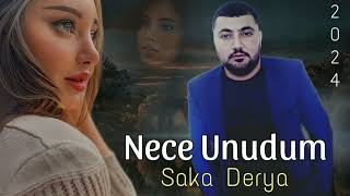 Saka Derya - Nece Unudum - 2024 (Ne Olar Gel Gorusek)  Resimi