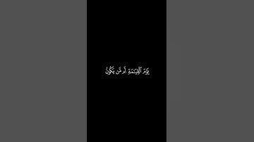 سورة النساء للشيخ محمد اللحيدان #قرآن #المصحف #تدبر_القرآن #محمد_اللحيدان #سورة_النساء #تلاوة_خاشعة