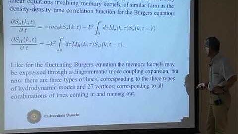 Henk van Beijeren  - KPZ equation